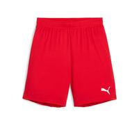 PUMA Men's Teamgoal 23 Knit Shorts Knitted Shorts
