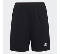 adidas Mixte enfant Entrada 22 Training Shorts, Black, 13-14 Years