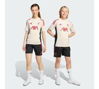 Short d'entraînement Liverpool FC Tiro25 Competition Enfants Black 11-12A