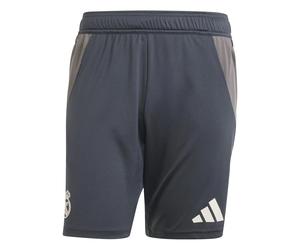 Short d'entraînement Real Madrid 2024/25 Gris S Male
