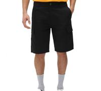 Short Dickies Millerville - 36
