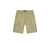 Short Dickies Millerville Vert 29