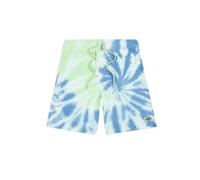 Short Dickies Seatac Vert S