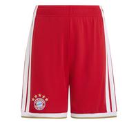 ADIDAS PERFORMANCE Pantalon de sport 'FC Bayern München Home 26/27' camel / rouge / blanc, Taille 176