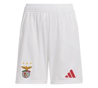Adidas Benfica 24/25 Home Junior Shorts Rouge 13-14 Years Garçon