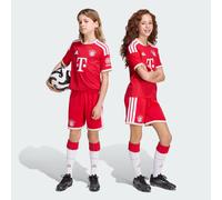 ADIDAS PERFORMANCE Pantalon de sport 'FC Bayern München Home 26/27' camel / rouge / blanc, Taille 152