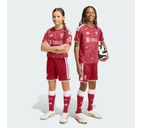 Adidas Liverpool Fc 26/27 Home Junior Shorts 13-14 Years Enfants