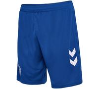 Short du gardien de but Danemark 2024 Bleu S Unisex