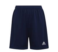 Short enfant adidas Entrada 22 Bleu 11/12 ans