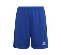Short enfant adidas Entrada 22 Bleu 9/10 ans