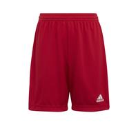 Short enfant adidas Entrada 22 Rouge 13/14 ans