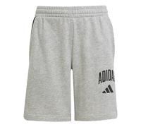 Adidas Seasonals Essentials Collegiate Typography Shorts Gris 7-8 Years Enfants