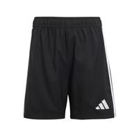 adidas Unisex Kinder TASTIGO25 Shorts Kids, Black, 13-14 Years