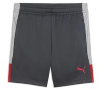 Short enfant Puma Liga TRG Gris 10 ans Unisex