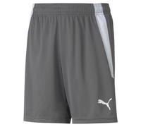 Short enfant Puma Team Liga Gris 7/8 ans Unisex