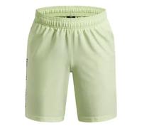 Under Armour Tech Woven Wordmark Shorts Vert 14-16 Years Garçon