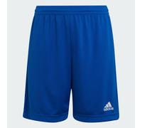 Short Entrada 22 Royal Blue 9-10A