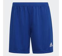 Short Entrada 22 Royal Blue S