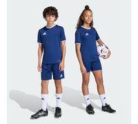 Short Entrada26 Enfants Team Navy Blue 2 / White 11-12A