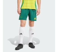 Short Extérieur Celtic FC 24/25 Team Dark Green S