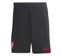 Short Extérieur Liverpool FC 2025/26 Noir S Male