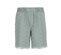 Short Guess Lattice Vert S
