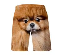 Short Homme Ete, Short d'été pour Homme en Tissu Respirant avec Impression 3D ludique Confortable pour la détente à la Maison ou Les promenades décontractées