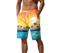 Short Homme Grande Taille, Pantalons de Plage pour Hommes avec Impression 3D Motifs paysages et couchers de Soleil pour Un Style décontracté
