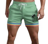 Short Homme,Pantalon d'été pour Homme, Couleur Unie, Arc-en-Ciel, Poches, Cordon de Serrage, Ample, décontracté, Sport, Course, Short Droit, Pantalon de Plage