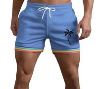 Short Homme Sport,Pantalon d'été pour Homme, Couleur Unie, Arc-en-Ciel, Poches, Cordon de Serrage, Ample, décontracté, Sport, Course, Short Droit, Pantalon de Plage