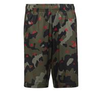 Short imprimé enfant adidas Essentials Seasonal Aeroready Vert 11/12 ans