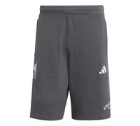 Short Liverpool FC 2025/26 Gris M Male