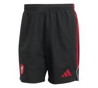 Short Liverpool FC UBP 2025/26 Noir 3XL Male