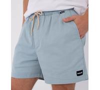 Short pour Homme Icon Ewalkshort 17'