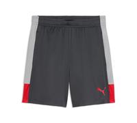 PUMA Short d'entraînement IndividualLIGA