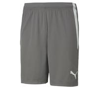 Short Puma Team Liga Gris M Male