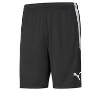 Puma Shorts Homme Teamliga Training Knitted – Noir/Blanc – Taille L EU