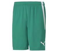 Short Puma Team Liga Vert S Male