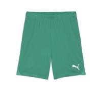 Short Puma TeamGoal Vert L Male