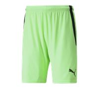 Puma Teamliga Shorts Homme, Noir (Fizzy Lime Black), 3XL