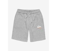 Quiksilver Easy Day Sweat Shorts Gris 12 Years Garçons