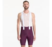 Short Rapha Men's Brevet Element Cargo Bib Shorts Plum/ White M
