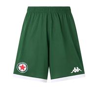 Short Red Star FC Mixio Pro 2025/26 Vert S Male