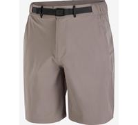 Salomon - Short déperlant respirant - Wayfarer 2.0 Shorts M Iron pour Homme - Taille M - Beige Beige M
