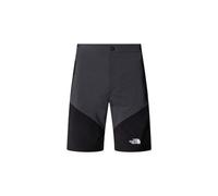 THE NORTH FACE NF0A825X4JK M FELIK Slim Tapered Short Shorts Homme Asphalt Grey-TNF Black- Taille 30
