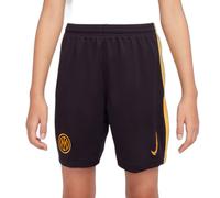 Short Third enfant Inter Milan 2024/25 Bleu 12/13 ans Unisex