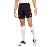 Short Third Inter Milan 2024/25 Bleu M Male