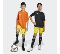 Short Tiro 23 League Team Yellow / Black 11-12A