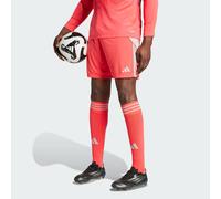 adidas Tiro 24 Training Short Rouge/Gris S