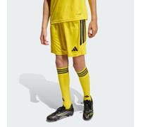 Short Tiro 26 League Enfants Team Yellow / Black 9-10A